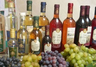 pisco