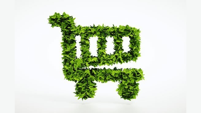 10 ideas de negocios ecológicos innovadores