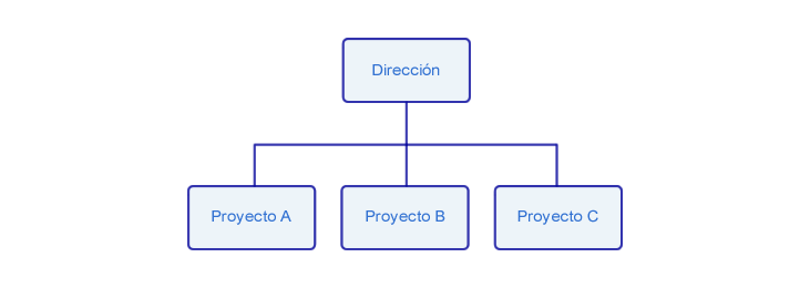 división por proyectos